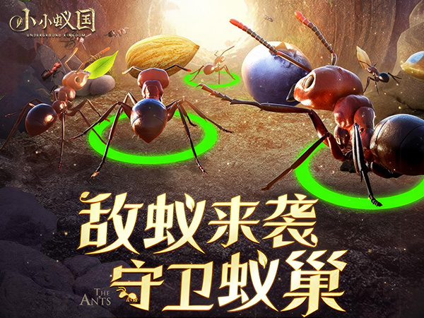 【新游上线】（小小蚁国）欢迎来到真实蚂蚁